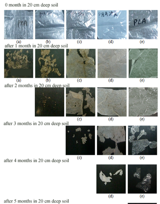 PBAT/PLA共混物生物降解塑料袋（dài）的降解過程(圖3)