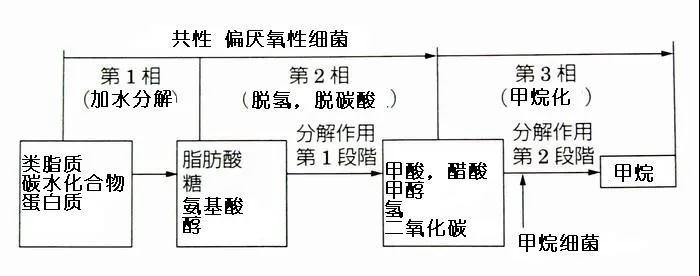 可回收再利用的塑料袋：可（kě）生物降解塑料(圖3)