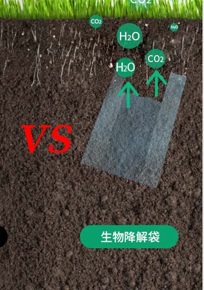 可生（shēng）物降（jiàng）解材料是pe塑料材料的“升級版”(圖7)