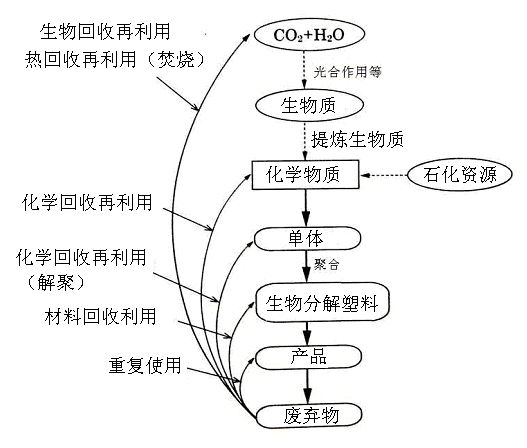 生物分解塑料的回收再（zài）利用（yòng）技術-生物降解環保塑(圖1)