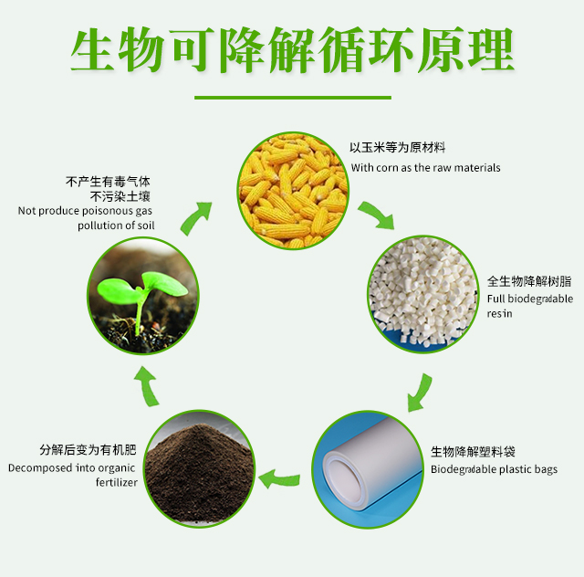 世界各國禁塑令-生（shēng）物降（jiàng）解袋市場（chǎng）機遇來了(圖1)